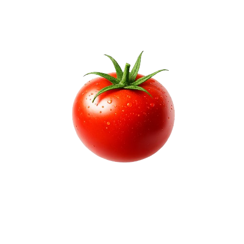 Tomato